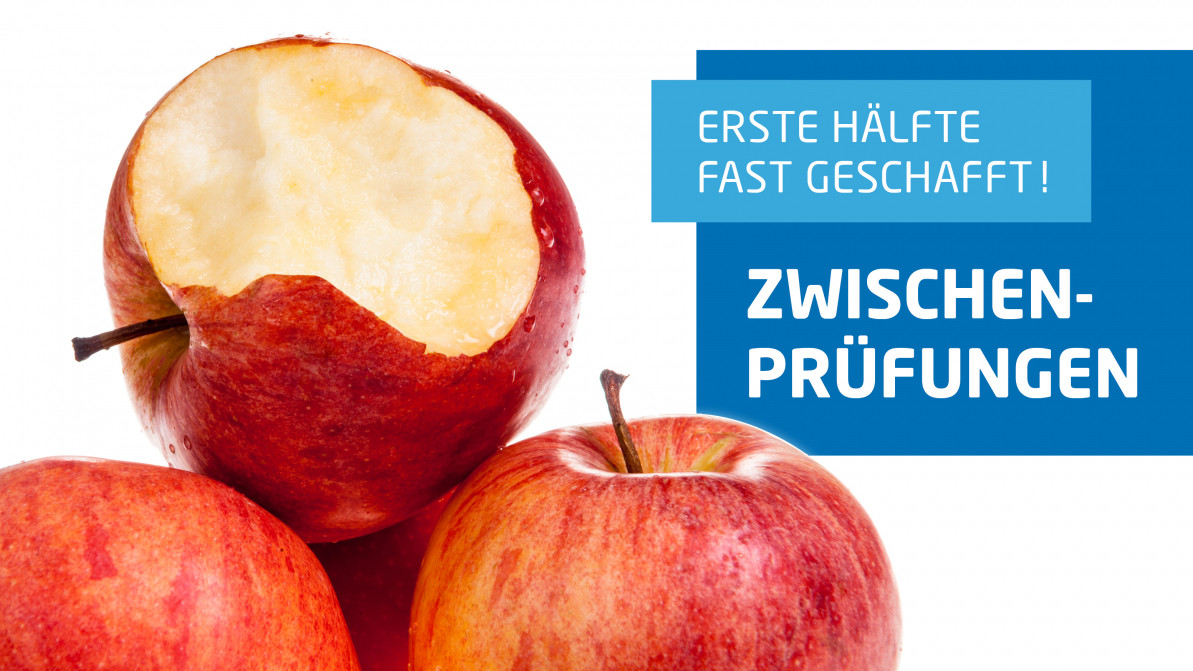 Bruse GmbH & Co. KG